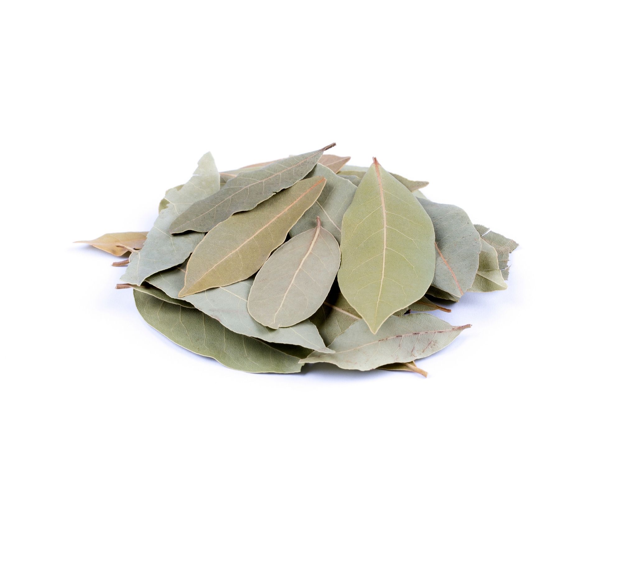Dried Turkish bay leaves — Aegean